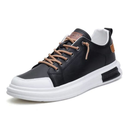 Calzado PRO: FashionCasual