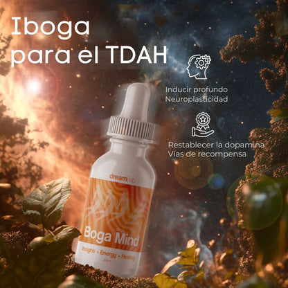 🔥 Boga microdose, conquista la concentración